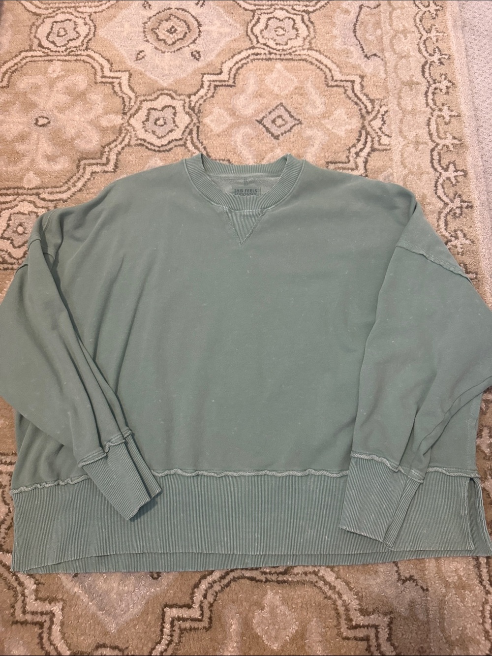 American Eagle Outfitters Sage Green Crewneck Sweatshirt